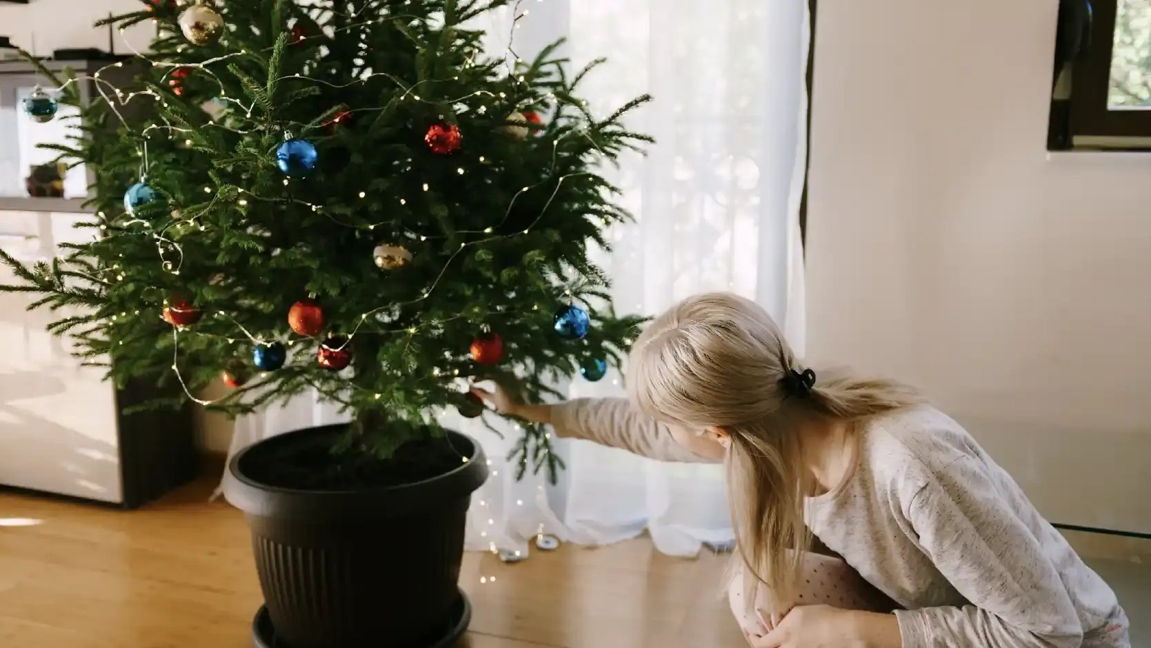 Desde tu arbolito hasta los adornos navideños puedes conseguirlos de manera sustentable
