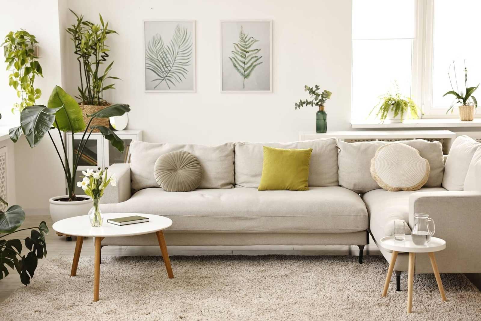 Plantas y aromas que dan buena energía